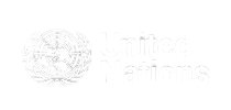 United Nations Light Logo